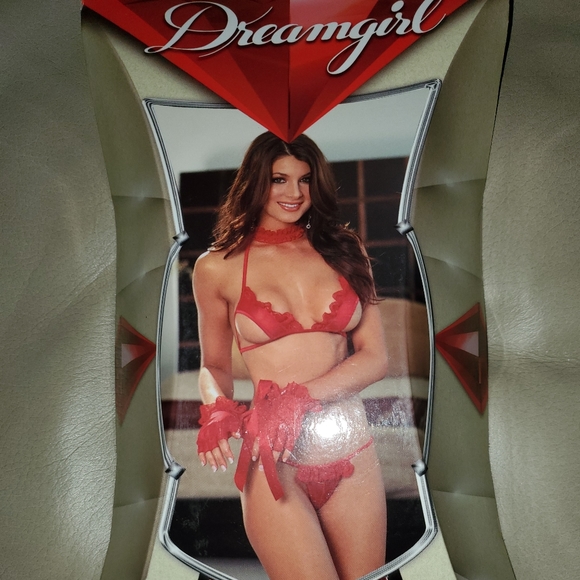 NIP Christmas Retro Open Cup Bra, Thong, Choker, & Gloves w/ Restraints Lingerie - Picture 3 of 4